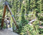 A suspension bridge crossing along the trail to Rainbow lake in Whistler, BC