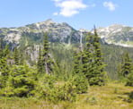 A view of the surrounding mountains as you hike up the trail to Rainbow Lake in Whistler