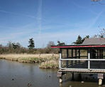 A viewing platform near the entrance to Reifel Bird Santuary in Delta, BC