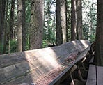 Logging equipment used decades ago near Rice Lake