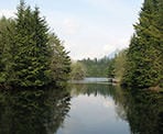 A view of the calm water of Rice Lake in North Vancouver, BC