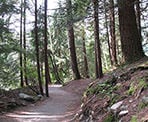 The trail around Rice Lake is an easy walk through the forest