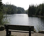 A bench sits at one end of Rice Lake offer a break with a relaxing view