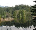 A view of Rice Lake from the trail that goes around the lake
