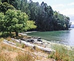 Logs along the beach at Roesland on Pender Island
