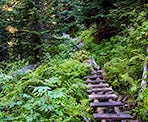 Wooden walkways over the muddy section at the beginning of the trail to Rohr Lake