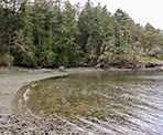 The beach near the day-use area in Ruckle Provincial Park on Salt Spring Island