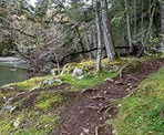 The Ruckle Loop trail to the viewpoint on Salt Spring Island