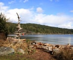 Artwork near the parking lot area at Sargeant Bay