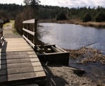 The fish ladders at the end of the trail in Sargeant Bay Provincial Park