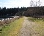 The short trail in Sargeant Bay Provincial Park