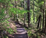 The trail around Sasamat Lake near Belcarra