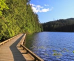 The raised boardwalks at Sasamat Lake are part of the trail that loops around the lake