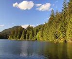 The shoreline view from the floating bridge along Sasamat Lake