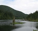 The view of the edge of Buntzen Lake when crossing the floating bridge