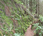The hiking trail up the mountains around Buntzen Lake to the Sendero Diez Vistas trail