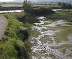 The scenery along the nature trails in Serpentine Fen in Surrey