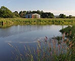 A shed sits on the other side of a marsh in Serpentine Fen in Surrey