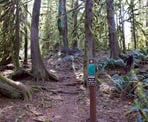 The start of the Seven Sisters Trail from the Entrance Bay Campground at Cultus Lake