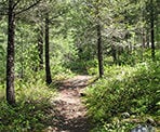 The walking trail around Shadow Lake north of Whistler, BC