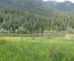 A view of Shadow Lake between Whistler and Pemberton