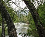The Soo River flows nearby Shadow Lake north of Whistler, BC