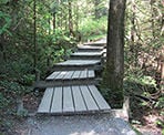 Wooden boardwalk steps along the Shoreline Trail in Port Moody, BC
