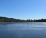 A view looking out over the water along the Shoreline Trail in Port Moody, BC