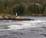 The Skookumchuck Rapids during and an ebb tide, taken from the North Point
