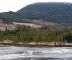 A view of the whirlpools at Skookumchuck Narrows during an ebb tide