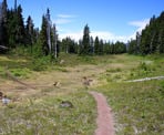 The trail through the alpine meadow along the Skywalk North Trail