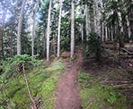 The Rainbow&#39;s End Trail along the Skywalk South Loop in Whistler