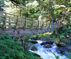 The log bridge crossing Nesakwatch Creek along the Slesse Memorial Trail