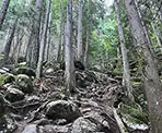The steep, rugged route up the Slhanay Peak Trail