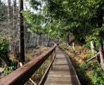 A wooden bridge that passes a bog area on the way to Smuggler Cove