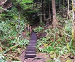 The start of the stairs along the Green Trail to the top of Soames Hill