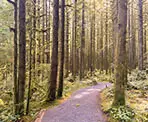 The gravel trail along the Spirea Nature Trail