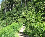 The trail to St. Mark&#39;s Summit near Cypress Mountain and following the Howe Sound Crest Trail