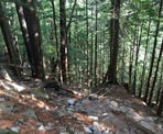 The steep trail that goes up the Stawamus Chief in Squamish, BC