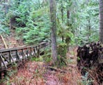 A wooden bridge along the Reservoir Trail near Steelhead Falls