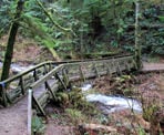 The bridge across the creek that leads to Steelhead Falls
