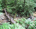 A log bridge crossing near the start of the trail to Sumas Mountain