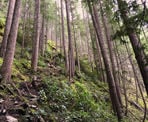 The steep and rugged Halvor Lunden Trail heading up to the Swan Falls Viewpoint