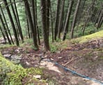 A rope is used to help hikers up the steep Halvor Lunden Trail. This rope is near the Swan Falls Viewpoint