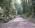 The wide gravel trail at the start of Teapot Hill