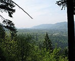 The view south towards the United States from Teapot Hill