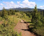 The start of the Heather Trail with the Brothers Mountains in the distance