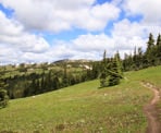The Heather Trail passes through the meadows on the way to the Three Brothers