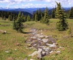 A small stream flows through the alpine meadows in Manning Provincial Park