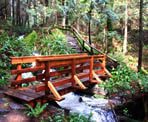 A small wooden bridge crosses Colvin Creek near the start of the trail to Triangle Lake